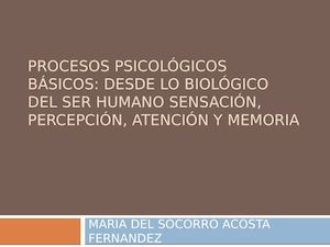 Procesos Psicológicos Básicos