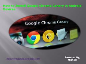 How To Install Google Chrome Canary In Android Devices