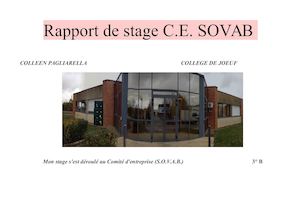 Rapport De Stage 1 (1)