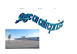 Rapport De Stage Nicolas Final