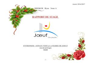 Rapport De Stage Ryan (1)