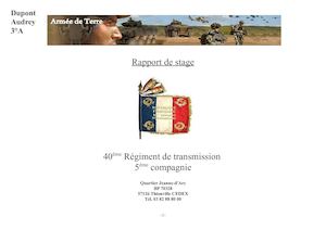 Rapport De Stage Audrey