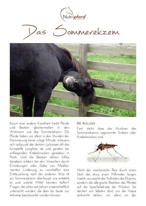 Sommerekzem