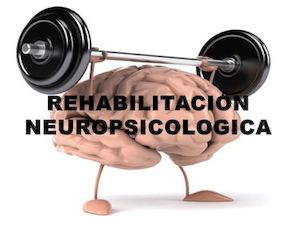 Calaméo - Rehabilitación Neuropsicologica