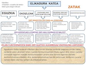Elikadura Katea Zatiak Eta Osotasuna Ale Eta Leire