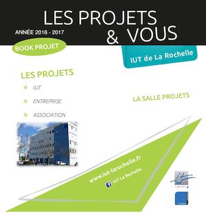 Book Projets Techniques De Commercialisation 2016 2017 Iut La Rochelle