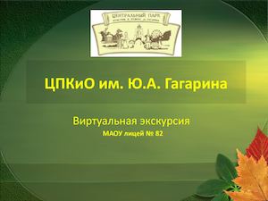 ЦПКиО им Гагарина