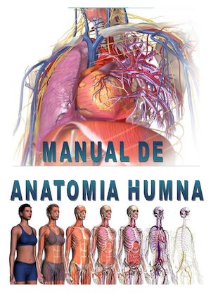 Como Se Ve La Anatomia