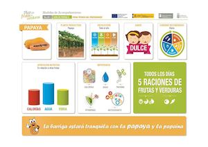 #7 Ficha técnica sobre la papaya