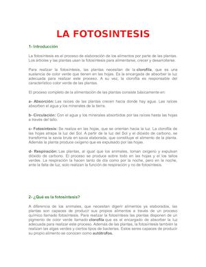 La Fotosintesis