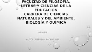 Meosis