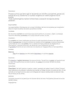 Fotosíntesis