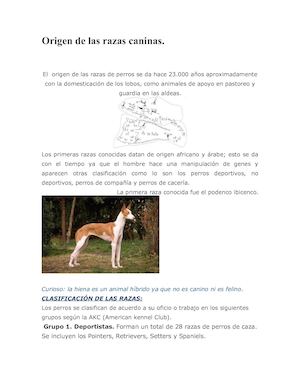 Origen De Las Razas Caninas