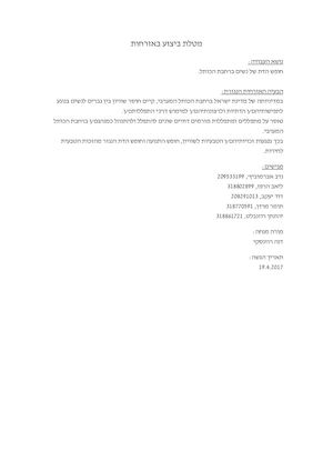 מטלת ביצוע סופית