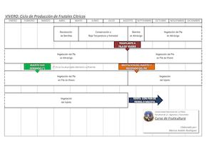 TP S3 Ciclo Produccion De Frutales Citricos