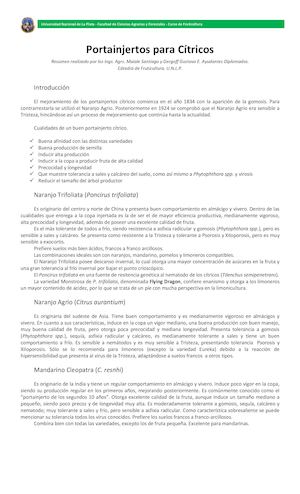 TP S3 Portainjertos De Citricos