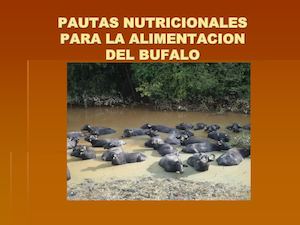 Alimentacion Del Bufalo