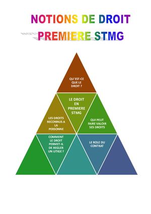 Synthese Droit Premiere