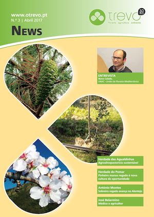 News Trevo Nº3_Abril 2017