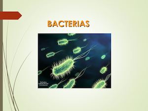 Bacterias