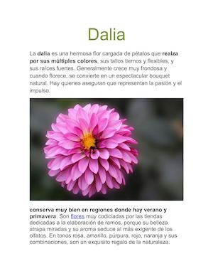 Dalia