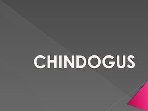 Chindogus