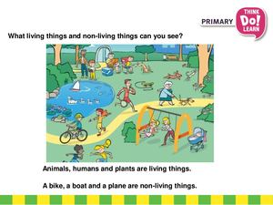 Year 3 Living Things