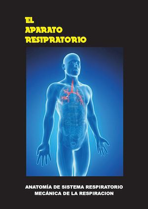 Aparato Respiratoriocurvas
