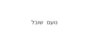 נועם  שובל.
