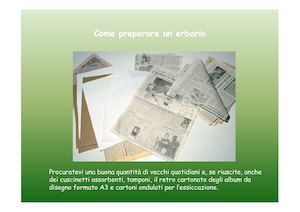 Costruiamo Un Erbario