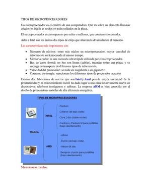 Tipos De Microprocesadores