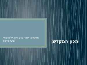 מכון המקדש.