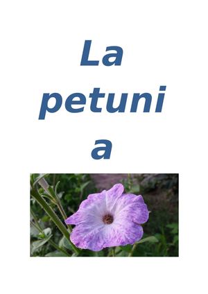 La Petunia