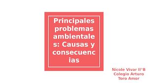 Principales Problemas Ambientales Causas Y Consecuencias