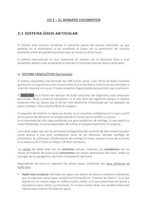 Sistemaoseoarticular