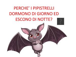Perchè I Pipistrelli