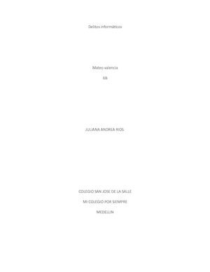 Delitos Informáticos Mateo