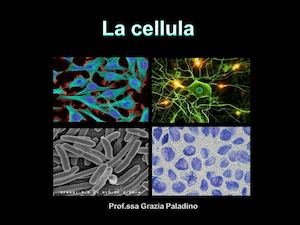 La Cellula