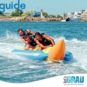 2017 Guide Pratic Au 29 04