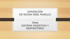 Exposicion Sistema Digestivo Y Respiratorio