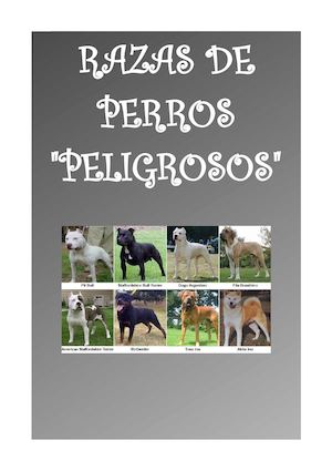 Razas De Perros Peligrosos