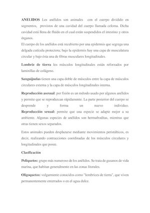 Anelidos Los Anélidos Son Animales Con El Cuerpo Dividido En Segmentos