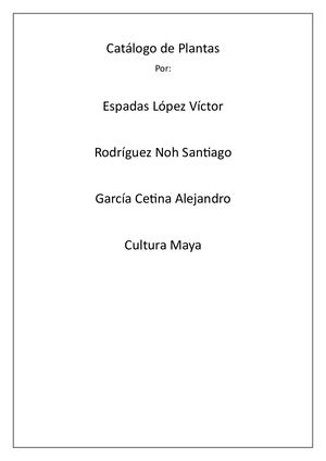 Catalogo Plantas