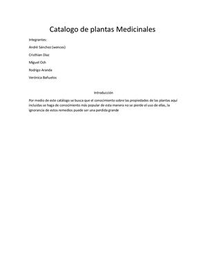 Catalogo Medicina Maya