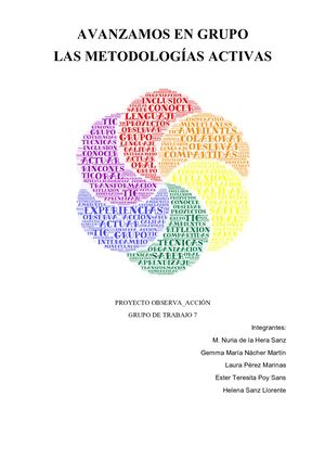 Proyecto Observa Accion