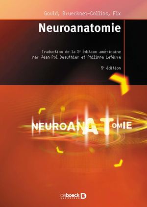 Neuroanatomie
