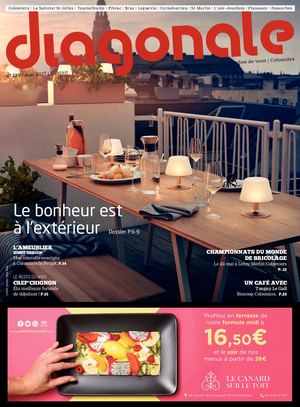 Diagonale Mai 2017