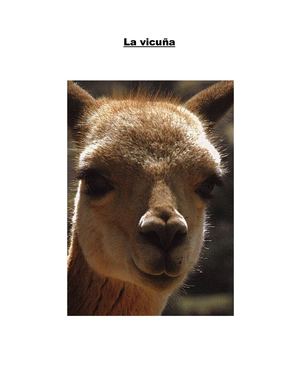 La Vicuña, Trabajo Practico Numero Uno Biologia