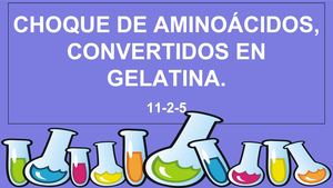 11 2 5 Choque De Aminoacidos, Convertidos En Gelatina (1)