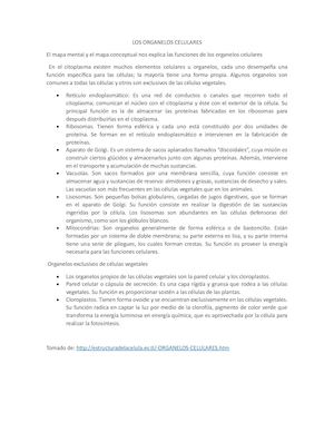 Los Organelos Celulares
